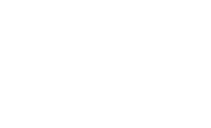 Vingroup Logo