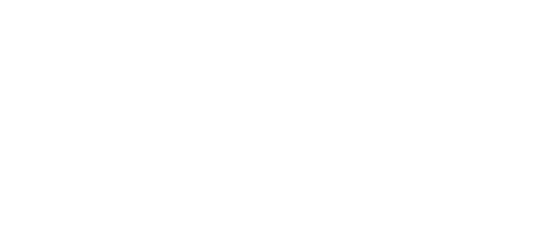 fis Logo