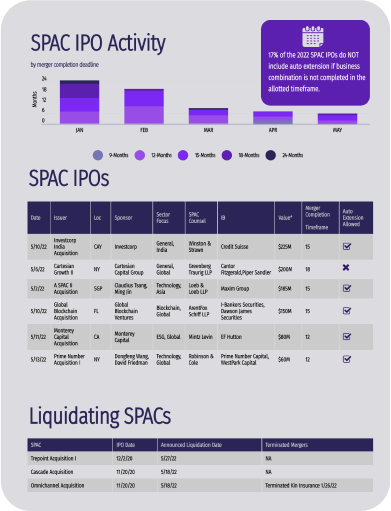  SPAC IPO report image