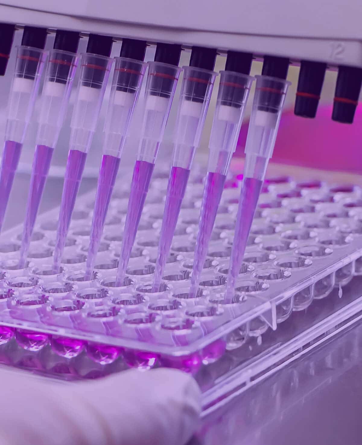 How we helped an innovative biotech company drive SEC filing efficiencies