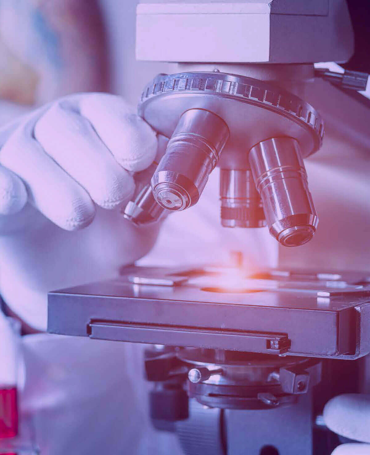 How we helped a biotech company