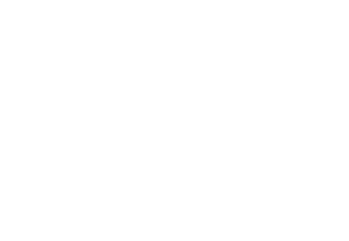 ArcPro Logo