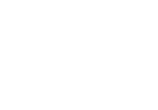 ArcFlex Logo