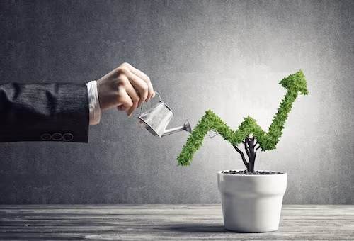 What is an Investment Memorandum?