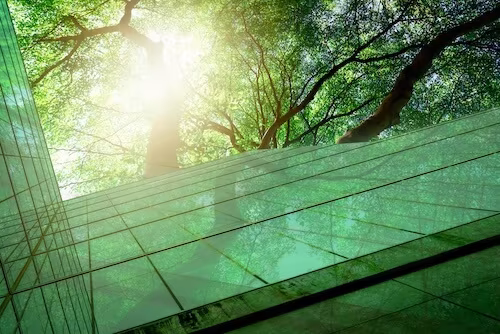 Starting Out Strong in 2025: Five Regulatory Updates You Need to Know About Now