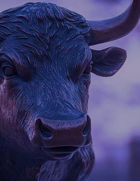 IPO Handbook - 4th Edition