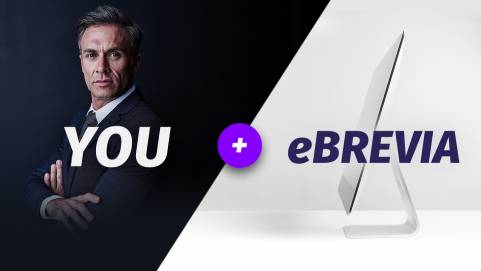 eBrevia challenge.